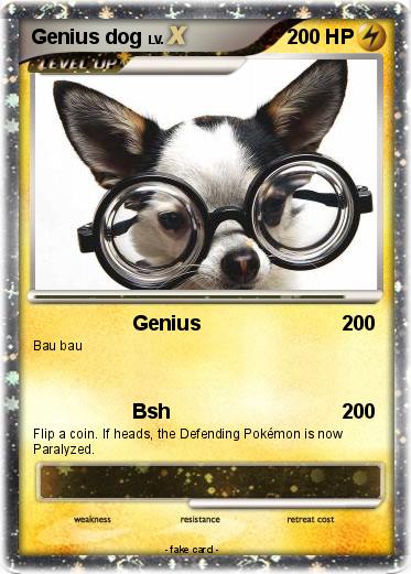Pokemon Genius dog
