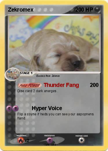 Pokemon Zekromex
