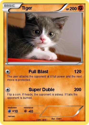 Pokemon Tiger