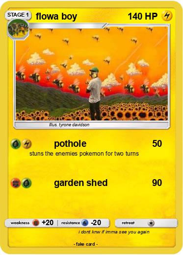 Pokemon flowa boy