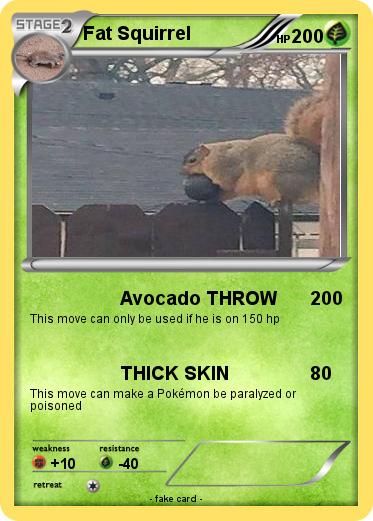 Pokemon Fat Squirrel