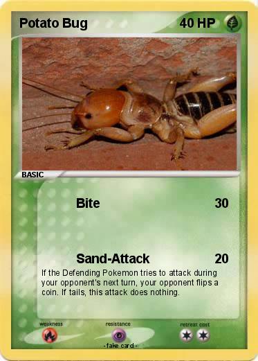 Pokemon Potato Bug