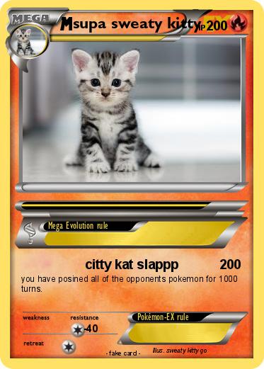 Pokemon supa sweaty kitty