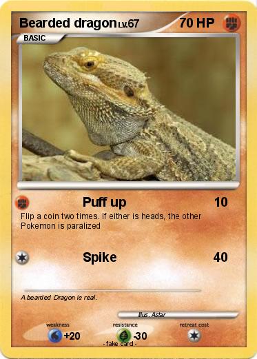 Pokemon Bearded dragon