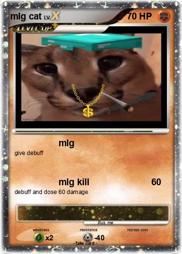 Pokemon mlg cat