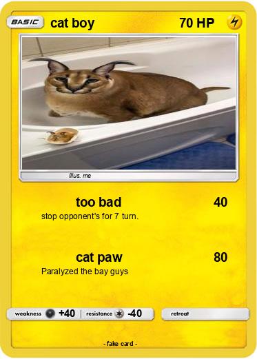 Pokemon cat boy