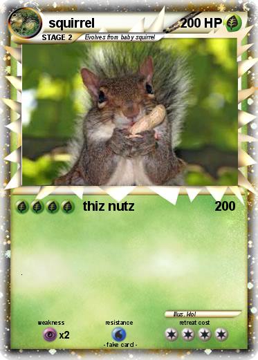 Pokemon squirrel