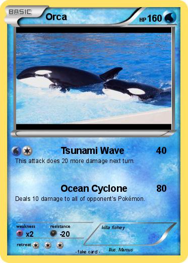 Pokemon Orca