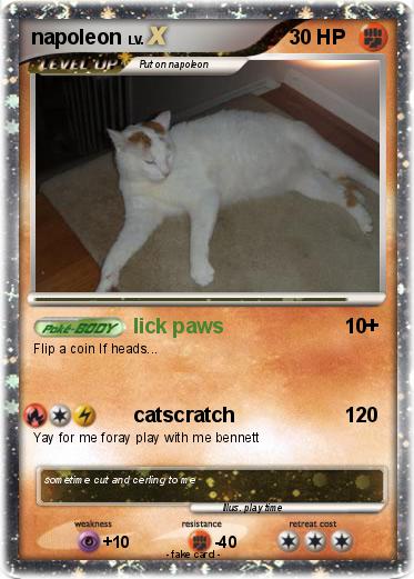 Pokemon napoleon