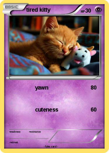 Pokemon tired kitty