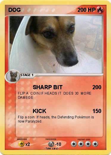 Pokemon DOG