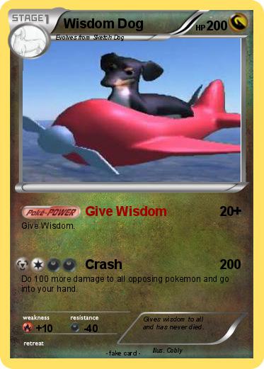 Pokemon Wisdom Dog