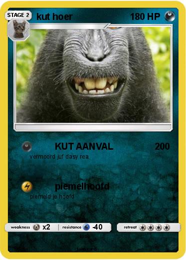Pokemon kut hoer