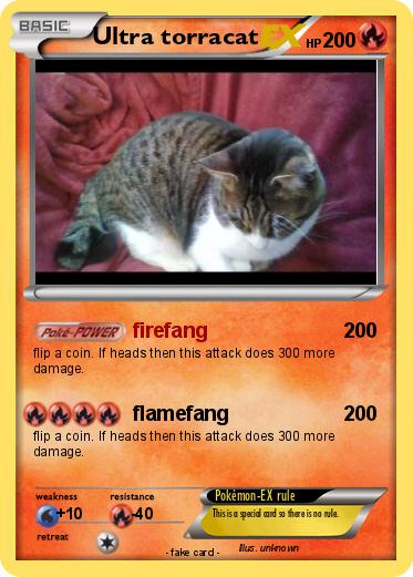 Pokemon Ultra torracat