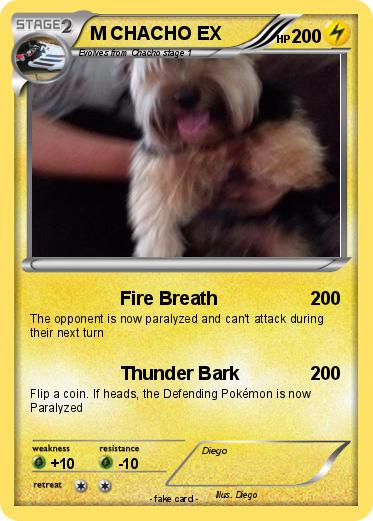 Pokemon M CHACHO EX