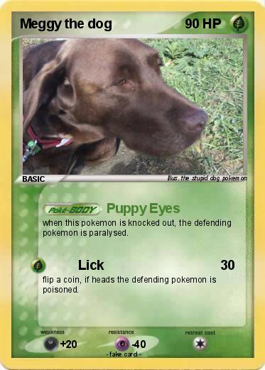 Pokemon Meggy the dog