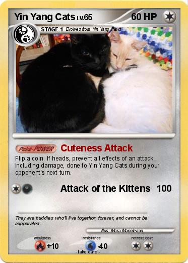 Pokemon Yin Yang Cats