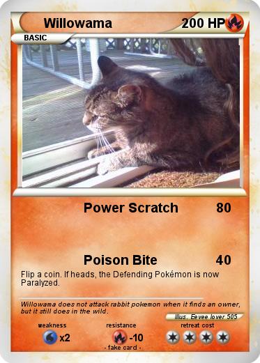 Pokemon Willowama