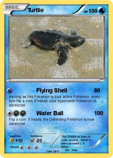 Pokemon Turtlie