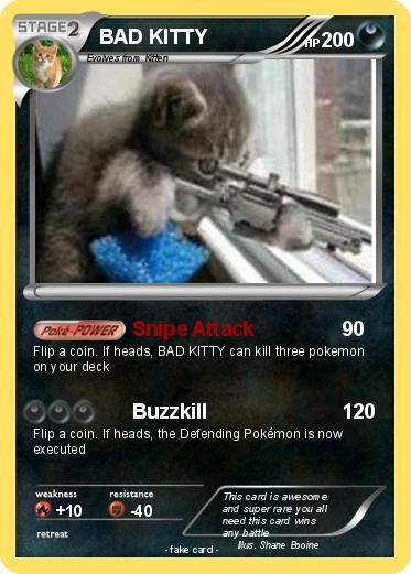 Pokemon BAD KITTY