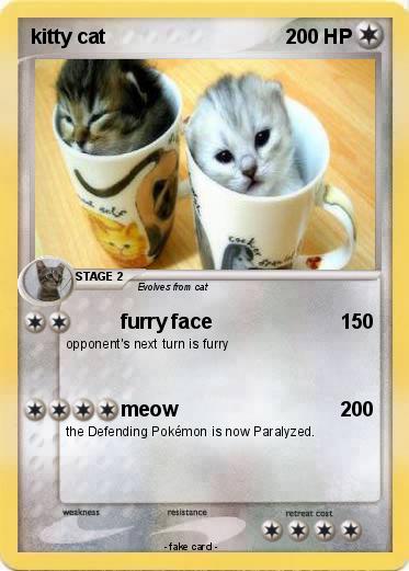Pokemon kitty cat