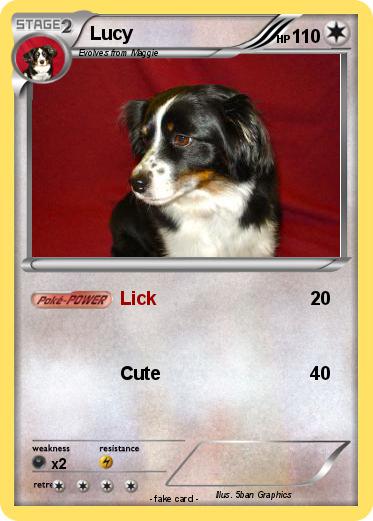 Pokemon Lucy