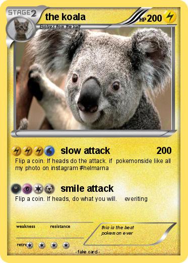 Pokemon the koala