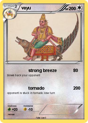 Pokemon vayu
