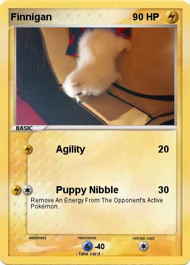 Pokemon Finnigan