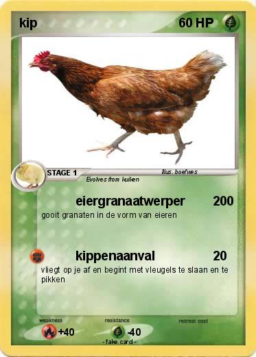 Pokemon kip