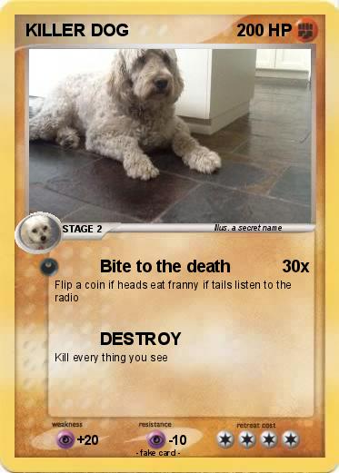 Pokemon KILLER DOG