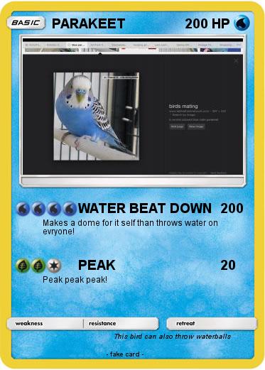 Pokemon PARAKEET