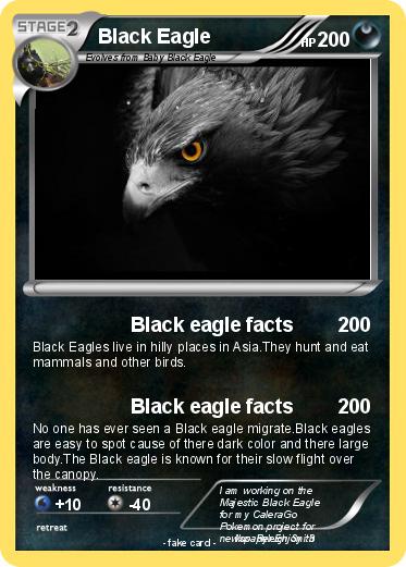 Pokemon Black Eagle