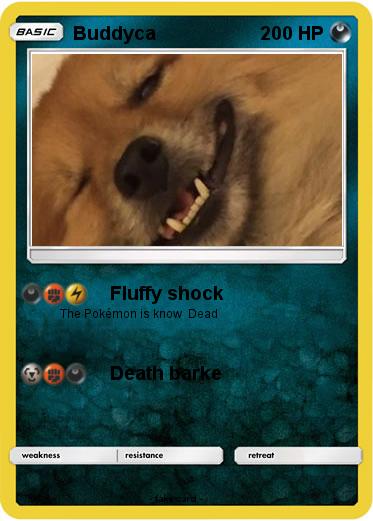 Pokemon Buddyca