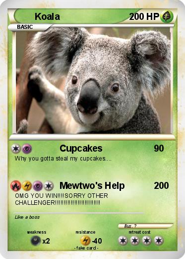 Pokemon Koala