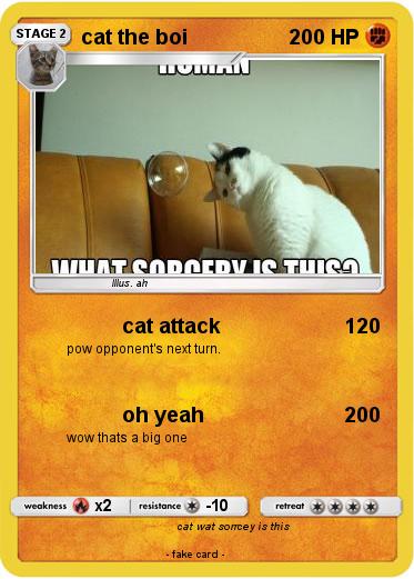 Pokemon cat the boi