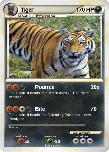 Pokemon Tiger