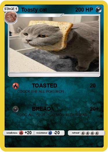 Pokemon Toasty cat