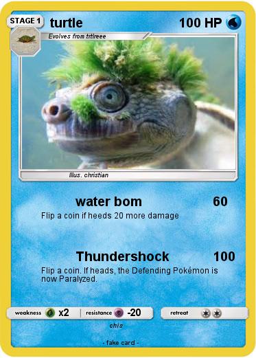 Pokemon turtle
