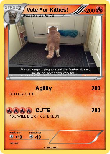 Pokemon Vote For Kitties!