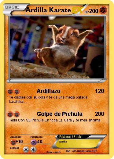 Pokemon Ardilla Karate