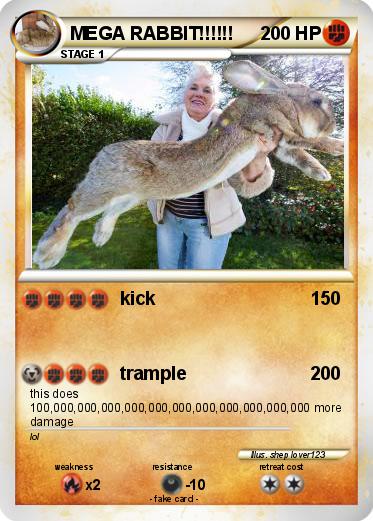 Pokemon MEGA RABBIT!!!!!!
