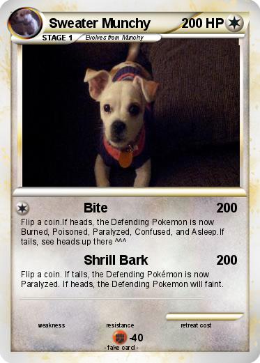 Pokemon Sweater Munchy