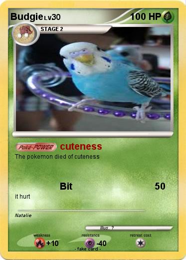 Pokemon Budgie