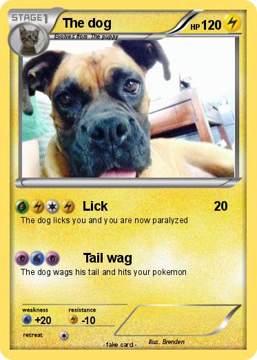 Pokemon The dog