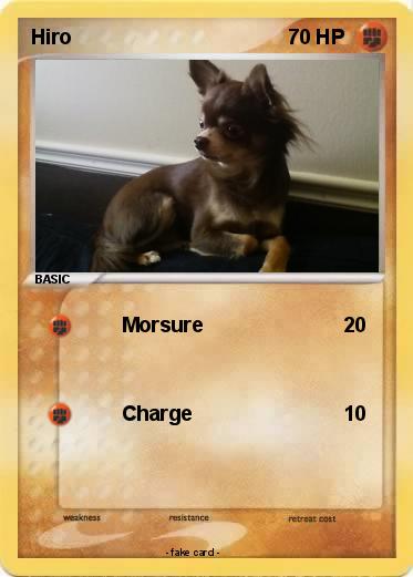 Pokemon Hiro