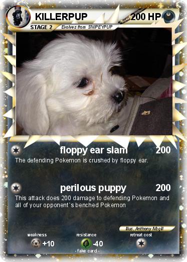 Pokemon KILLERPUP