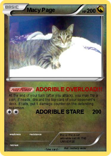 Pokemon Macy Page