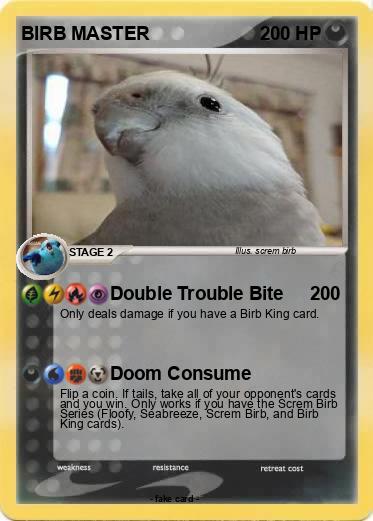 Pokemon BIRB MASTER