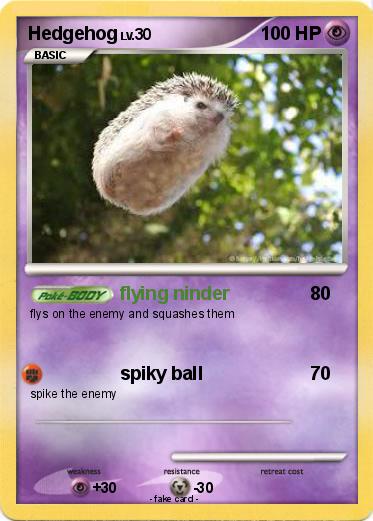 Pokemon Hedgehog